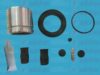 AUTOFREN SEINSA D41660C Repair Kit, brake caliper